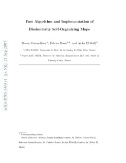 Fast Algorithm and Implementation of Dissimilarity Self-Organizing Maps