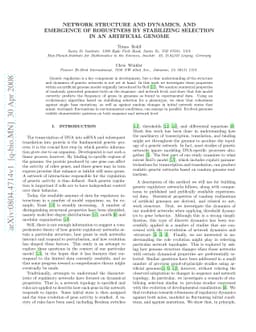 Network Structure and Dynamics, and Emergence of Robustness by
  Stabilizing Selection in an Artificial Genome