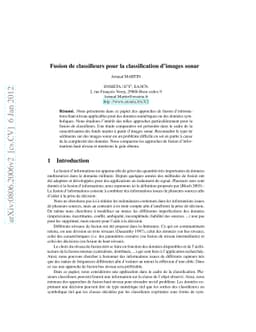 Fusion de classifieurs pour la classification dímages sonar