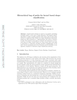 Hierarchical Bag of Paths for Kernel Based Shape Classification