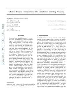 Efficient Human Computation