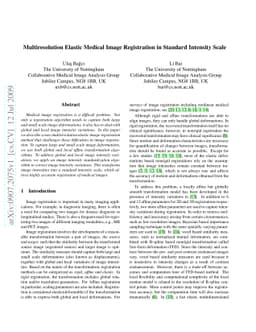 Multiresolution Elastic Medical Image Registration in Standard Intensity
  Scale