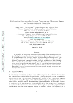 Mathematical Interpretation between Genotype and Phenotype Spaces and
  Induced Geometric Crossovers