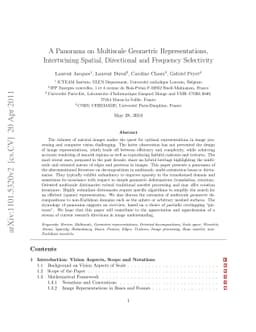 A Panorama on Multiscale Geometric Representations, Intertwining
  Spatial, Directional and Frequency Selectivity