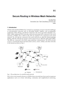 Secure Routing in Wireless Mesh Networks