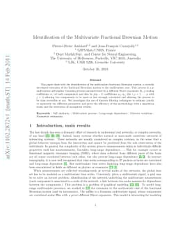 Identification of the Multivariate Fractional Brownian Motion