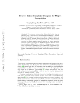 Nearest Prime Simplicial Complex for Object Recognition