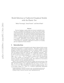 Model Selection in Undirected Graphical Models with the Elastic Net