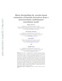 Block thresholding for wavelet-based estimation of function derivatives
  from a heteroscedastic multichannel convolution model