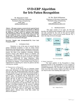 SVD-EBP Algorithm for Iris Pattern Recognition