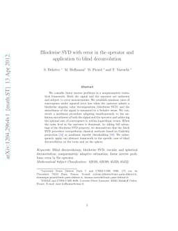 Blockwise SVD with error in the operator and application to blind
  deconvolution