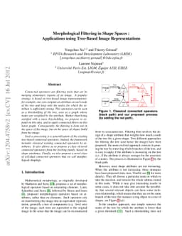 Morphological Filtering in Shape Spaces: Applications using Tree-Based
  Image Representations