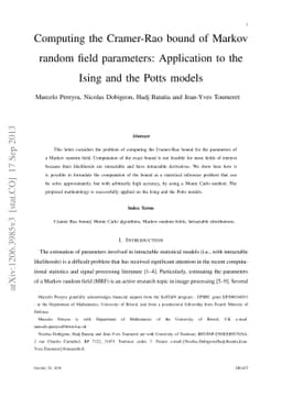 Computing the Cramer-Rao bound of Markov random field parameters:
  Application to the Ising and the Potts models