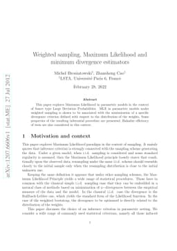 Weighted sampling, Maximum Likelihood and minimum divergence estimators