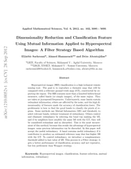 Dimensionality Reduction and Classification feature using Mutual
  Information applied to Hyperspectral Images : A Filter strategy based
  algorithm