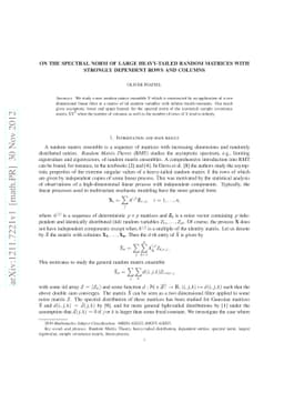 On the spectral norm of large heavy-tailed random matrices with strongly
  dependent rows and columns