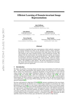 Efficient Learning of Domain-invariant Image Representations