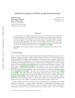 Statistical Analysis of Metric Graph Reconstruction