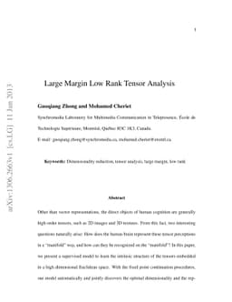 Large Margin Low Rank Tensor Analysis