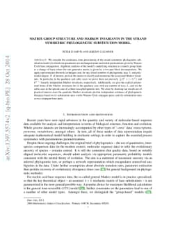 Matrix group structure and Markov invariants in the strand symmetric
  phylogenetic substitution model