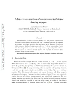 Adaptive estimation of convex and polytopal support