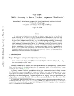 TOP-SPIN: TOPic discovery via Sparse Principal component INterference