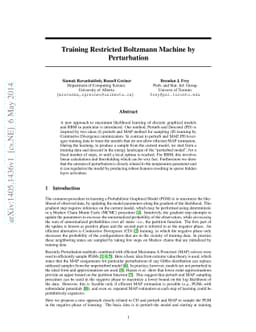 Training Restricted Boltzmann Machine by Perturbation