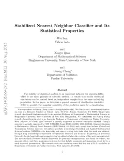 Stabilized Nearest Neighbor Classifier and Its Statistical Properties