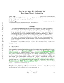 Bootstrap-Based Regularization for Low-Rank Matrix Estimation