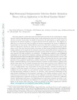 High-Dimensional Semiparametric Selection Models: Estimation Theory with
  an Application to the Retail Gasoline Market