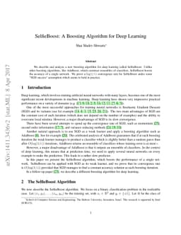 SelfieBoost: A Boosting Algorithm for Deep Learning