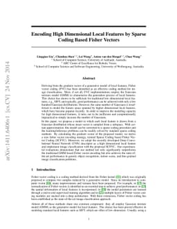 Encoding High Dimensional Local Features by Sparse Coding Based Fisher
  Vectors