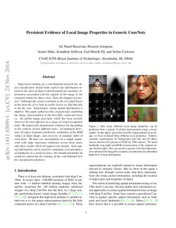 Persistent Evidence of Local Image Properties in Generic ConvNets
