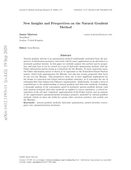 New insights and perspectives on the natural gradient method