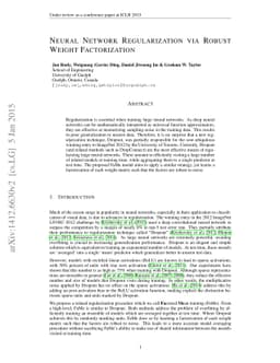 Neural Network Regularization via Robust Weight Factorization