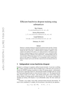 Efficient batchwise dropout training using submatrices