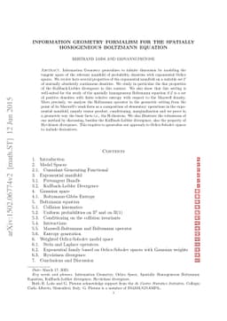 Information Geometry Formalism for the Spatially Homogeneous Boltzmann
  Equation