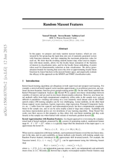 Random Maxout Features