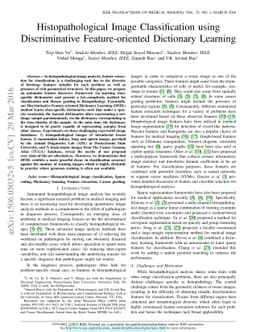 Histopathological Image Classification using Discriminative
  Feature-oriented Dictionary Learning