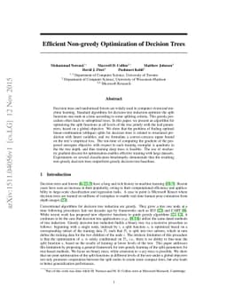 Efficient non-greedy optimization of decision trees