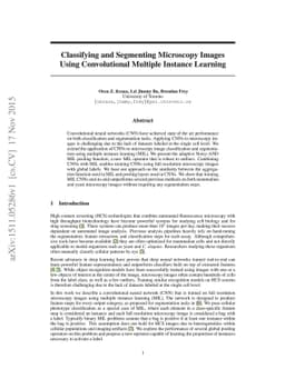 Classifying and Segmenting Microscopy Images Using Convolutional
  Multiple Instance Learning