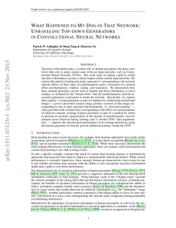 What Happened to My Dog in That Network: Unraveling Top-down Generators
  in Convolutional Neural Networks