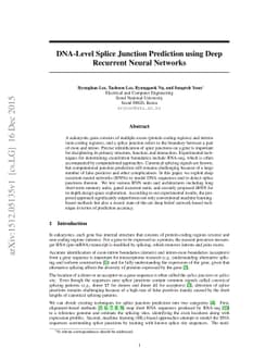 DNA-Level Splice Junction Prediction using Deep Recurrent Neural
  Networks