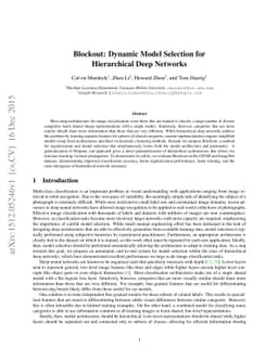 Blockout: Dynamic Model Selection for Hierarchical Deep Networks