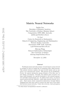 Matrix Neural Networks