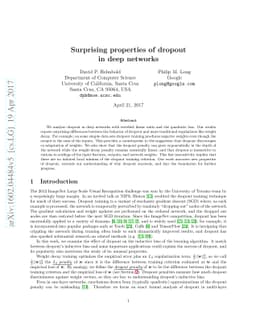 Surprising properties of dropout in deep networks