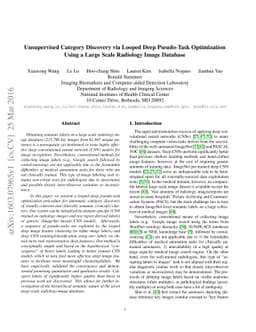 Unsupervised Category Discovery via Looped Deep Pseudo-Task Optimization
  Using a Large Scale Radiology Image Database