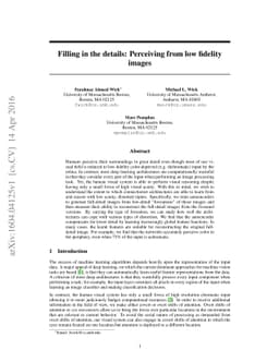 Filling in the details: Perceiving from low fidelity images