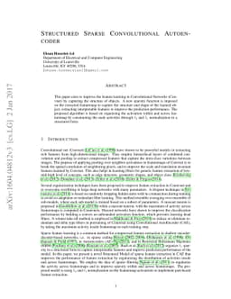 Structured Sparse Convolutional Autoencoder
