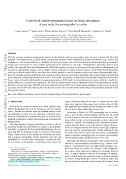 A Mid-level Video Representation based on Binary Descriptors: A Case
  Study for Pornography Detection